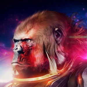 Meet your Posher, Adrian